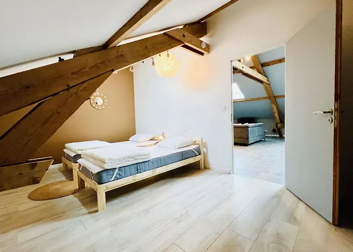 Apartment Spacious Modern Quiet - Hypercentre