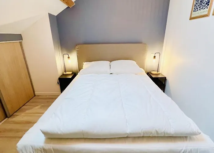 Spacious Modern Quiet - Hypercentre Apartment Gerardmer