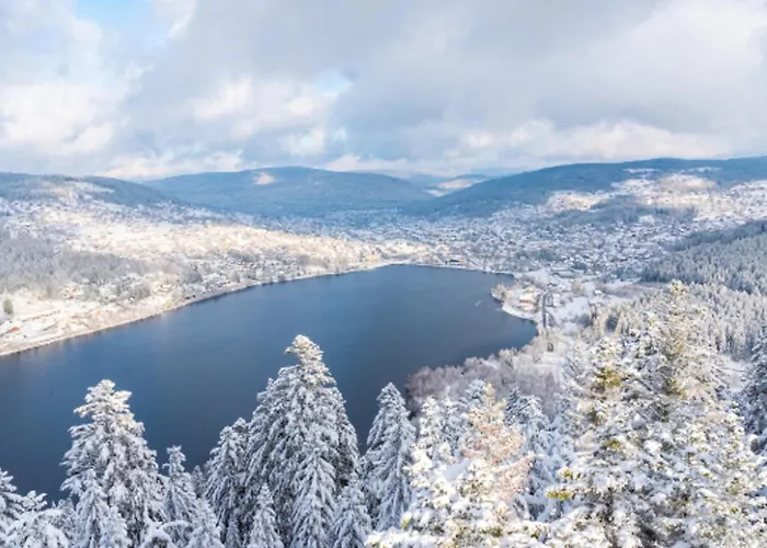 Apartment Spacious Modern Quiet - Hypercentre